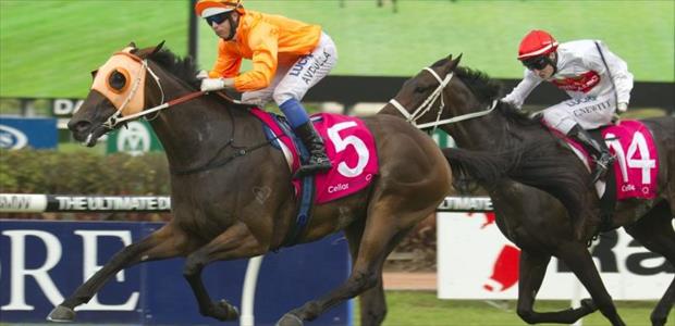 Traitor - Rosehill - 22/03/2014